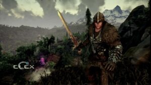 13323594 493949704137998 8675103541343863284 o