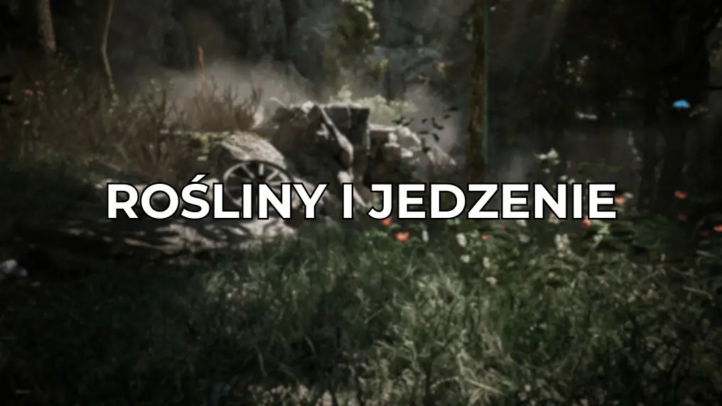 g1r rosliny i jedzenie